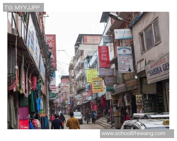 越南与尼泊尔的文化交流与经济合作展望分析